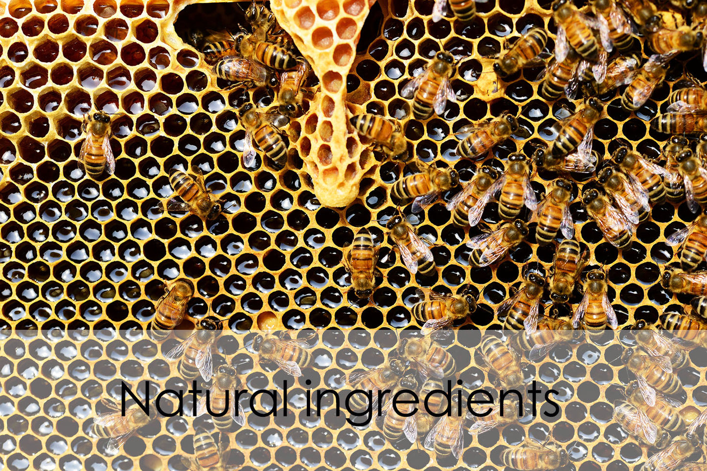 100% natural Bees wax tea light 12 pcs