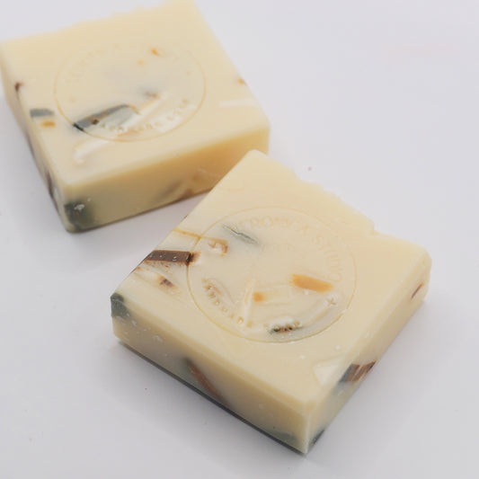 Citrus Herb Renewal Soap 2pc set
